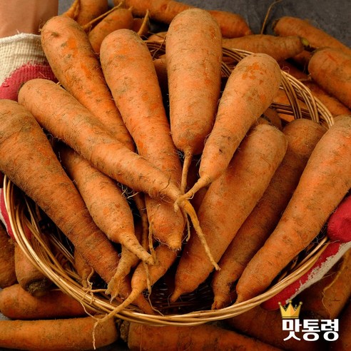 [맛통령] 국내산 흙당근 제주 구좌 당근, 흙당근 (중상) 5..., 1개