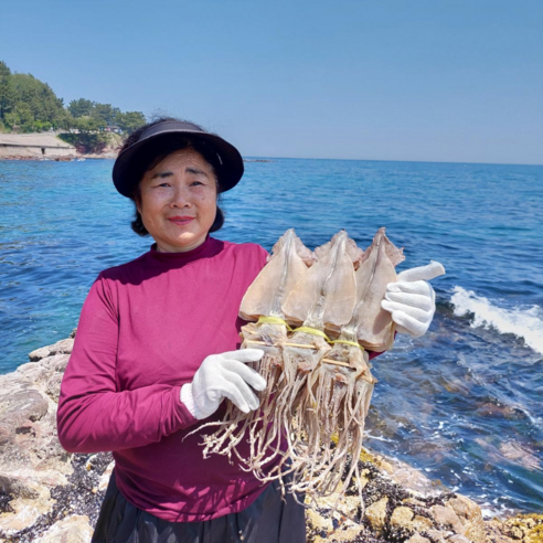 오징어엄마 국내산 마른오징어 건오징어 건조오징어, 마른 [대] 10마..., 1개