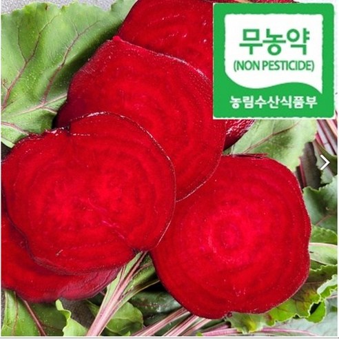 유기농 무농약 비트 고당도 햇 레드비트 2kg 3kg 5kg 10kg, 무농약 고당도비트(..., 1개