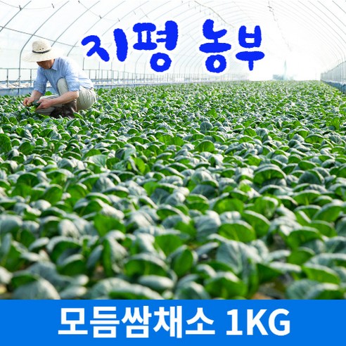 [물맑은 양평] 지평 농부 모듬쌈채소(1kg)