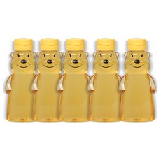 리빙패밀리 스마일 곰돌이 원터치 꿀병, 380ml, 5개